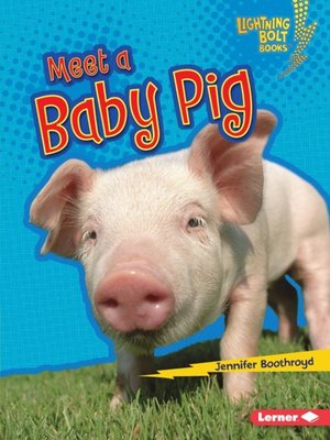 cover image of Meet a Baby Pig